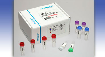 Real star® Products 